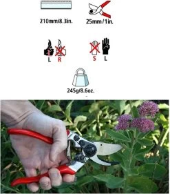 Felco 2 + GRATIS Felco Handschoenen In Cadeauverpakking 10 Felco 2 + GRATIS Felco Handschoenen In Cadeauverpakking -Tuingereedschap 1056x1200 1