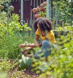 GARDENA - ExpertCut - Snoeischaar - 22 Diameter Tak -Tuingereedschap 1116x1200 1