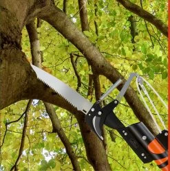 Gardebruk Takkenzaag Telescopisch - 2in1 Zaag & Snoeischaar - Oranje -Tuingereedschap 1189x1200 5