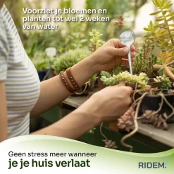 Waterdruppelaar Voor Planten - Irrigatiesysteem- Waterbol - Druppelsysteem - Watergeefsysteem Voor Kamerplanten - Plantenwatergever -6 Stuks - Transparant -Tuingereedschap 1200x1198 33