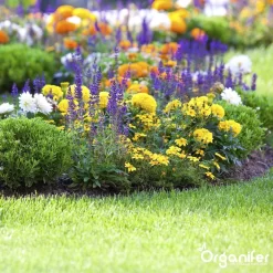 Koemestkorrels 3in1 (20Kg Voor 200m2) Allround Organische Meststof - Direct Opneembare Voeding - Langdurige Werking > 120 Dagen - Geurloos - Verbeterd Bodem - Lavameel Toevoeging - Versterkt Gras En Planten - Organifer -Tuingereedschap 1200x1200 1000