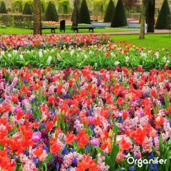 Lavameel Uit Eifel Oergesteente (20Kg Voor 200m2) Organifer -Tuingereedschap 1200x1200 1012