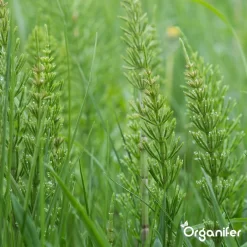 Lavameel Uit Eifel Oergesteente (20Kg Voor 200m2) Organifer -Tuingereedschap 1200x1200 1013