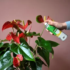 Pokon Bladglans 250ml -Tuingereedschap 1200x1200 1019