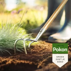 Pokon Bio Bemeste Tuincompost - 20l - Bodemverbeteraar - Geschikt Voor Ophoging En Aanplanten 8 Pokon Bio Bemeste Tuincompost - 20l - Bodemverbeteraar - Geschikt Voor Ophoging En Aanplanten -Tuingereedschap 1200x1200 1025
