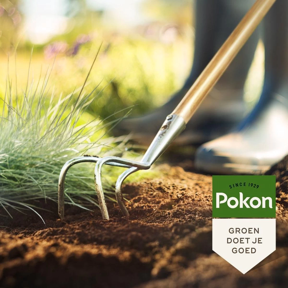 Pokon Bio Bemeste Tuincompost - 20l - Bodemverbeteraar - Geschikt Voor Ophoging En Aanplanten 4 Pokon Bio Bemeste Tuincompost - 20l - Bodemverbeteraar - Geschikt Voor Ophoging En Aanplanten - Afbeelding 4