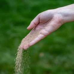 ECOstyle AZ Kalk Micro Korrel – Voor Gazon, Sier- En Moestuin - Corrigeert Zuurgraad Direct En Langdurig - Werkt Tegen Mos - CO2-Neutraal – 265 M² - 20 KG -Tuingereedschap 1200x1200 1031