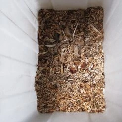 Gardebruk Hakselaar Elektrisch 2800W - 45mm Takdikte - Opvangbak 60 L 17 Gardebruk Hakselaar Elektrisch 2800W - 45mm Takdikte - Opvangbak 60 L -Tuingereedschap 1200x1200 119