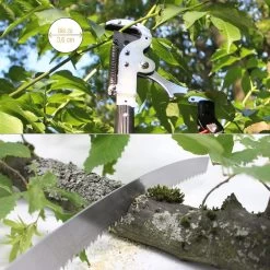 Iceberk Snoeischaar + Snoeizaag (1,45 - 3,70 M) - Telescopische Snoeischaar Voor Het Snoeien Van Bomen En Dichte Struiken Zonder Ladder -Tuingereedschap 1200x1200 170