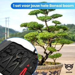 Good2know Bonsai Gereedschap Set – 16 Delig – Bonsai Starters Kit – Bonsai Boompje Verzorgingskit - Tuingereedschap -Tuingereedschap 1200x1200 796