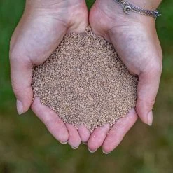 ECOstyle AZ Kalk Micro Korrel – Voor Gazon, Sier- En Moestuin - Corrigeert Zuurgraad Direct En Langdurig - Werkt Tegen Mos - CO2-Neutraal – 135 M² - 10 KG -Tuingereedschap 1200x1200 894