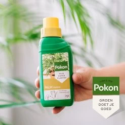 Pokon Palm Voeding - 250ml - Plantenvoeding - 10ml Per 1L Water -Tuingereedschap 1200x1200 917