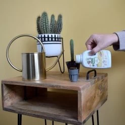 Pokon Bio Cactus & Vetplant Voeding - 250ml - Plantenvoeding (bio) - 7ml Per 1L Water -Tuingereedschap 1200x1200 919