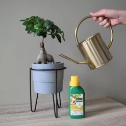 Pokon Bonsai Voeding - 250ml - Plantenvoeding - 10ml Per 1L Water -Tuingereedschap 1200x1200 920
