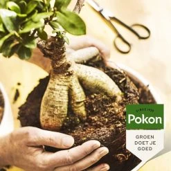 Pokon Bonsai Voeding - 250ml - Plantenvoeding - 10ml Per 1L Water -Tuingereedschap 1200x1200 921
