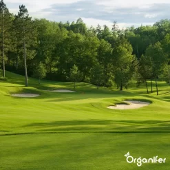 Gazonmest All-In-One (10Kg - Voor 200m2) Voor Een Diepgroen Sterk Gazon Zonder Mos En Onkruid - Complete Meststof Met Kalk En Grasversterker - Organifer 23 Gazonmest All-In-One (10Kg - Voor 200m2) Voor Een Diepgroen Sterk Gazon Zonder Mos En Onkruid - Complete Meststof Met Kalk En Grasversterker - Organifer -Tuingereedschap 1200x1200 950