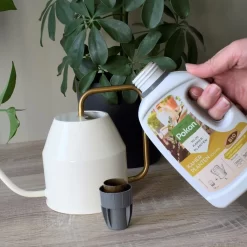 Pokon Bio Kamerplanten Voeding - 1l - Plantenvoeding (bio) - 7ml Per 1L Water -Tuingereedschap 1200x1200 958
