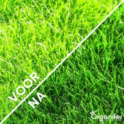 Kalk Korrel Meststof Verrijkt Met Magnesium (5Kg - Voor 100m2) Voor Dieper Bladgroen (+PH) Speciaal Voor Gazon, Perken, Moestuin En Openbaar Groen - Organifer 18 Kalk Korrel Meststof Verrijkt Met Magnesium (5Kg - Voor 100m2) Voor Dieper Bladgroen (+PH) Speciaal Voor Gazon, Perken, Moestuin En Openbaar Groen - Organifer -Tuingereedschap 1200x1200 963