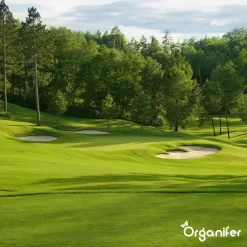 Kalk Korrel Meststof Verrijkt Met Magnesium (5Kg - Voor 100m2) Voor Dieper Bladgroen (+PH) Speciaal Voor Gazon, Perken, Moestuin En Openbaar Groen - Organifer 23 Kalk Korrel Meststof Verrijkt Met Magnesium (5Kg - Voor 100m2) Voor Dieper Bladgroen (+PH) Speciaal Voor Gazon, Perken, Moestuin En Openbaar Groen - Organifer -Tuingereedschap 1200x1200 967