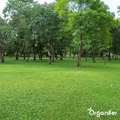Kalk Korrel Meststof Verrijkt Met Magnesium (5Kg - Voor 100m2) Voor Dieper Bladgroen (+PH) Speciaal Voor Gazon, Perken, Moestuin En Openbaar Groen - Organifer 29 Kalk Korrel Meststof Verrijkt Met Magnesium (5Kg - Voor 100m2) Voor Dieper Bladgroen (+PH) Speciaal Voor Gazon, Perken, Moestuin En Openbaar Groen - Organifer -Tuingereedschap 1200x1200 973