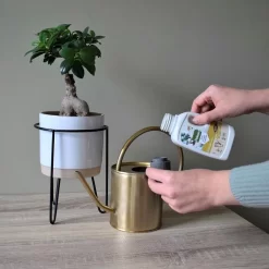 Pokon Bio Bonsai Voeding - 250ml - Plantenvoeding (bio) - 7ml Per 1L Water 13 Pokon Bio Bonsai Voeding - 250ml - Plantenvoeding (bio) - 7ml Per 1L Water -Tuingereedschap 1200x1200 989