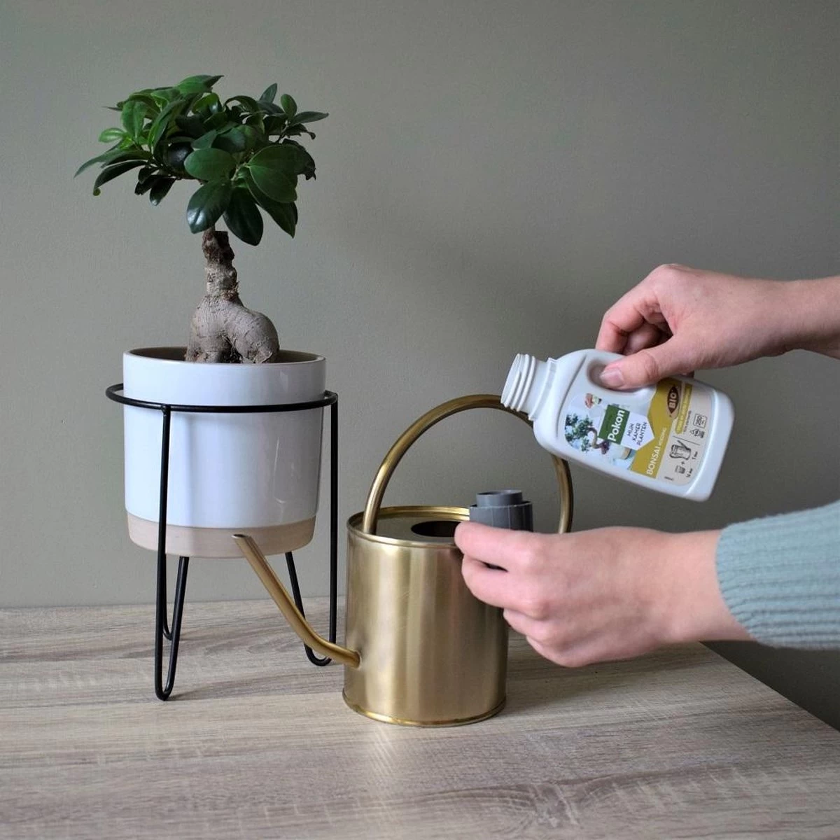 Pokon Bio Bonsai Voeding - 250ml - Plantenvoeding (bio) - 7ml Per 1L Water 6 Pokon Bio Bonsai Voeding - 250ml - Plantenvoeding (bio) - 7ml Per 1L Water - Afbeelding 6