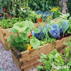 Koemestkorrels 3in1 (20Kg Voor 200m2) Allround Organische Meststof - Direct Opneembare Voeding - Langdurige Werking > 120 Dagen - Geurloos - Verbeterd Bodem - Lavameel Toevoeging - Versterkt Gras En Planten - Organifer -Tuingereedschap 1200x1200 998