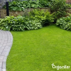 Koemestkorrels 3in1 (20Kg Voor 200m2) Allround Organische Meststof - Direct Opneembare Voeding - Langdurige Werking > 120 Dagen - Geurloos - Verbeterd Bodem - Lavameel Toevoeging - Versterkt Gras En Planten - Organifer -Tuingereedschap 1200x1200 999