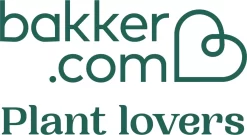 Pokon Bladglans 250ml -Tuingereedschap 1200x657 4