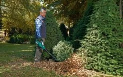 Bosch ALB 36 LI - Bladblazer - Met 36 V Accu En Lader -Tuingereedschap 1200x747 1