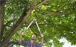 Gardena EasyCut Takkenschaar 68B + Classic Snoeischaar 8754 Display 1stuk 12003-30 -Tuingereedschap 1200x749 2