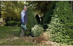 Bosch ALB 36 LI - Bladblazer - Met 36 V Accu En Lader -Tuingereedschap 1200x762