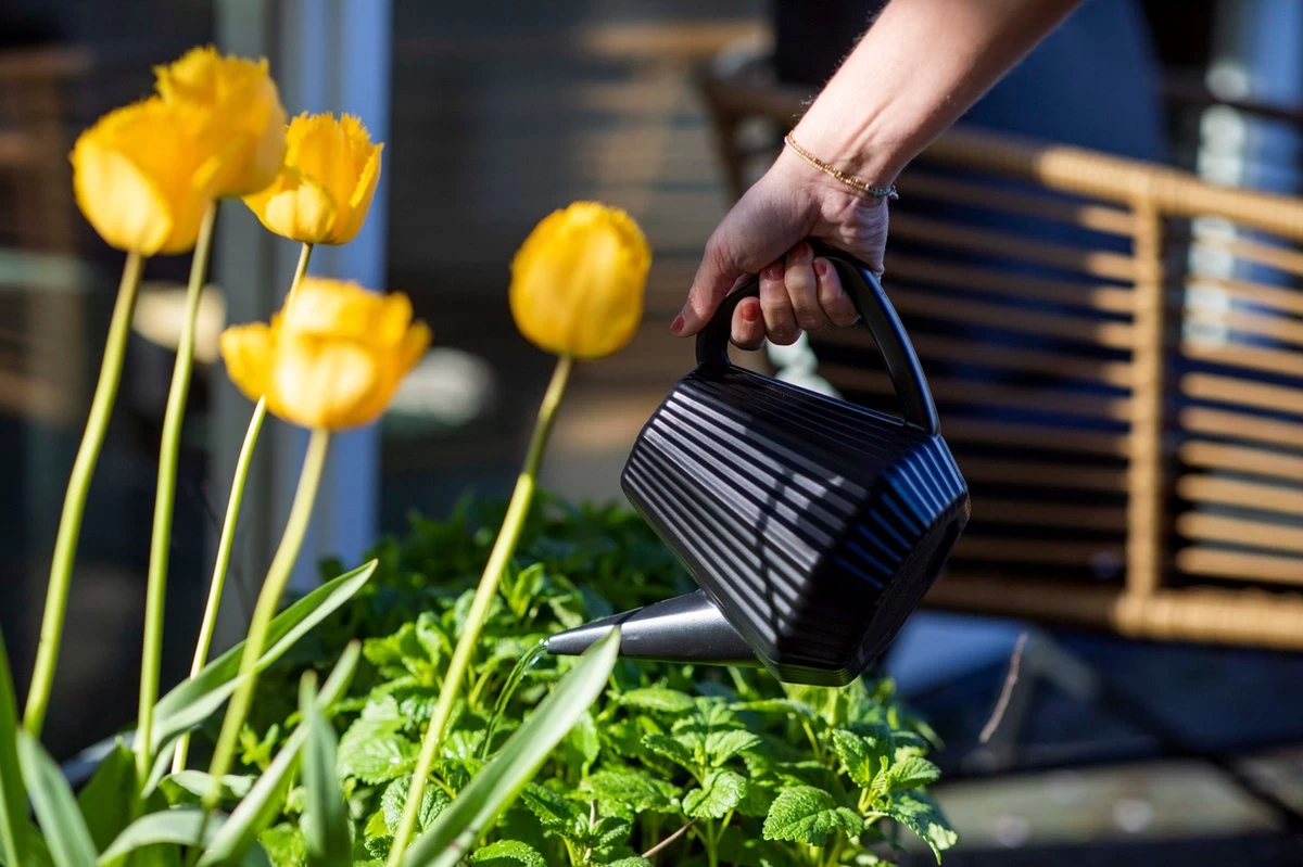 Xala - Gieter Doppio Groove 2L Zwart 3 Xala - Gieter Doppio Groove 2L Zwart - Afbeelding 3