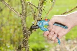 GARDENA Classic Aambeeld Snoeischaar - Ø 18 Mm -Tuingereedschap 1200x799 37