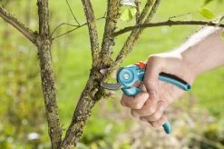 GARDENA Classic Aambeeld Snoeischaar - Ø 18 Mm -Tuingereedschap 1200x799 39