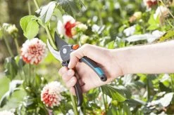 GARDENA Comfort B/M Bypass Snoeischaar - Ø 24mm - Met Sapgeul -Tuingereedschap 1200x799 47