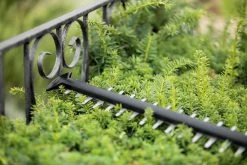 Bosch UniversalHedgeCut 18-55 Heggenschaar - Zonder 18V Accu En Oplader 14 Bosch UniversalHedgeCut 18-55 Heggenschaar - Zonder 18V Accu En Oplader -Tuingereedschap 1200x800 101