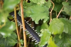 Bosch UniversalHedgeCut 18-55 Heggenschaar - Zonder 18V Accu En Oplader 17 Bosch UniversalHedgeCut 18-55 Heggenschaar - Zonder 18V Accu En Oplader -Tuingereedschap 1200x800 104