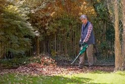 Bosch ALB 36 LI - Bladblazer - Met 36 V Accu En Lader -Tuingereedschap 1200x800 13