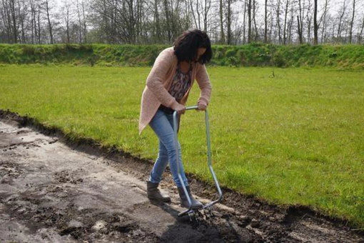 Ergo Woelvork 5 Tanden Depypere 1 Ergo Woelvork 5 Tanden Depypere