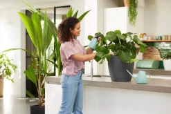 Elho Brussels Gieter 1,8l - Gieter Voor Binnenkweken En Oogsten - Ø 33.0 X H 17.0 Cm - Groen/Mint 10 Elho Brussels Gieter 1,8l - Gieter Voor Binnenkweken En Oogsten - Ø 33.0 X H 17.0 Cm - Groen/Mint -Tuingereedschap 1200x800 399