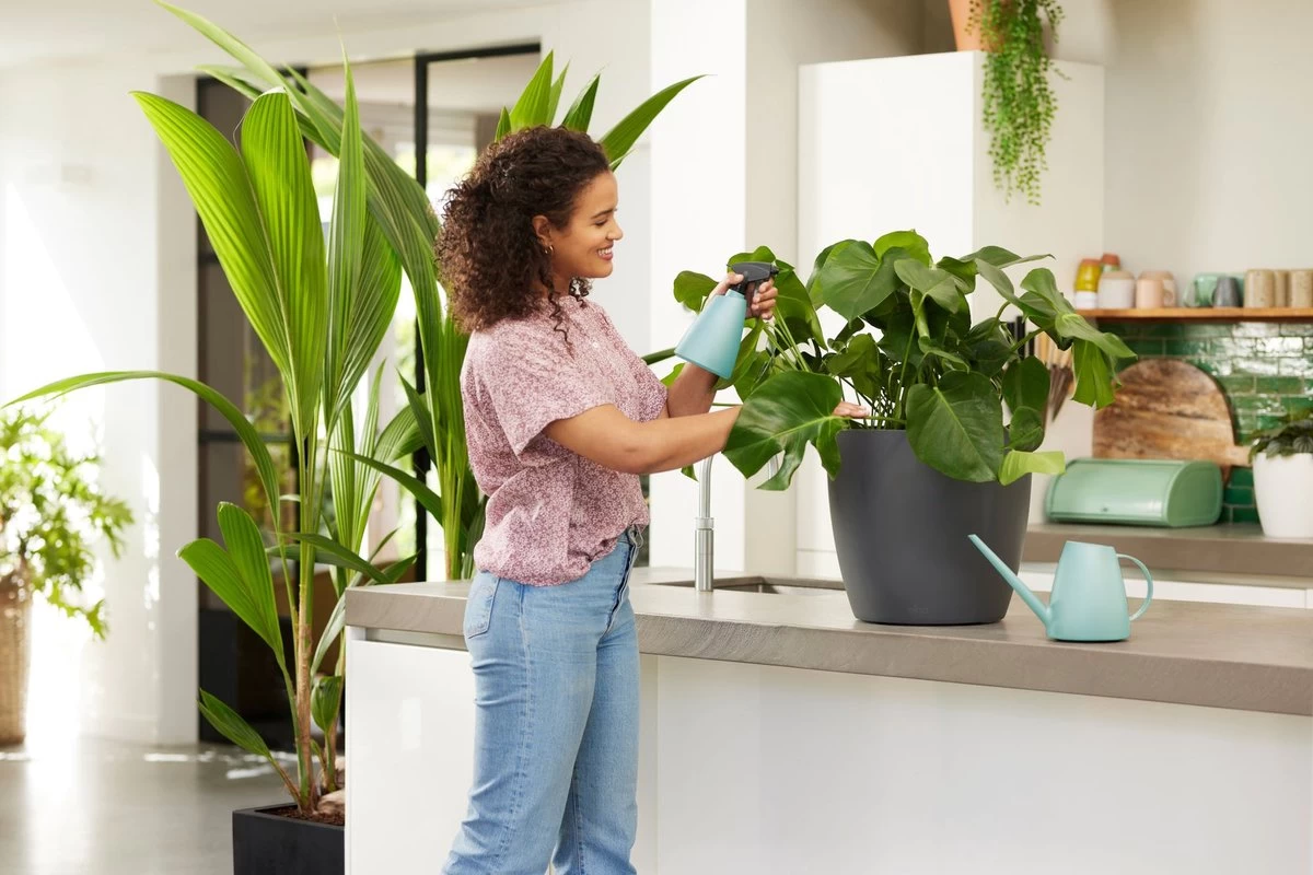 Elho Brussels Gieter 1,8l - Gieter Voor Binnenkweken En Oogsten - Ø 33.0 X H 17.0 Cm - Groen/Mint 4 Elho Brussels Gieter 1,8l - Gieter Voor Binnenkweken En Oogsten - Ø 33.0 X H 17.0 Cm - Groen/Mint - Afbeelding 4