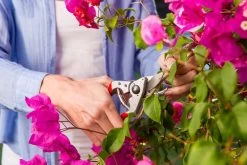 Felco 14 Snoeischaar | Ergonomisch | Voor Kleine Handen -Tuingereedschap 1200x800 48