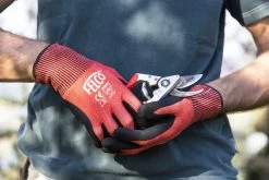 Felco 2 + GRATIS Felco Handschoenen In Cadeauverpakking 11 Felco 2 + GRATIS Felco Handschoenen In Cadeauverpakking -Tuingereedschap 1200x800 63
