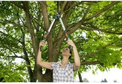 GARDENA - TeleCut Telescopische - Takkenschaar 520-670B - 42 Mm Verstelbare Lengte -Tuingereedschap 1200x825 11