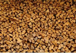 Steko Houtsplijter Voor Grote Blokken - Voor Aanmaakhout & Brandhout - Houtklover - Houtkliever - Splijtwig - Handmatig - Overal Te Gebruiken 1605 Gram - Metaal - Kloofwig - HOGE VOLUMEKORTING -Tuingereedschap 1200x837 1