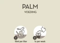 Pokon Palm Voeding - 250ml - Plantenvoeding - 10ml Per 1L Water -Tuingereedschap 1200x856 3