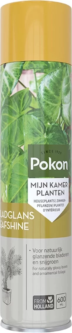 Pokon Bladglans 250ml -Tuingereedschap 262x1200 2