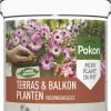 Pokon Voedingskegels Voor Terras- & Balkonplanten - 40 Stuks - 180 Dagen Voeding - Plantenvoeding