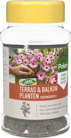 Pokon Voedingskegels Voor Terras- & Balkonplanten - 40 Stuks - 180 Dagen Voeding - Plantenvoeding -Tuingereedschap 616x1200 1